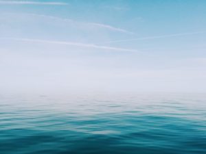 Vatten över huvudet eller fisk på tallriken?